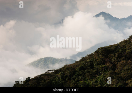 Nuvole sopra la foresta pluviale - Le nuvole coprono le montagne della Sierra Nevada de Santa Marta, una parte settentrionale della Colombia Foto Stock