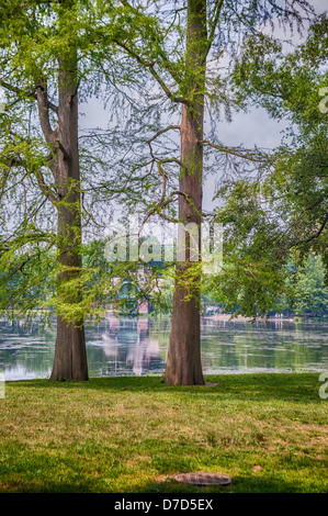 Harlem Meer nel Central Park di New York City. Foto Stock