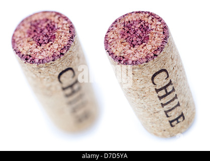 Un vino rosso colorate cork " Cile " scritto su di esso isolato su sfondo bianco shot diagonalmente da angolo di alta. Due tipi di profondità Foto Stock