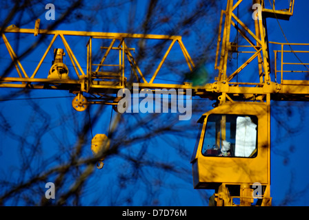 Il giallo della costruzione di gru a torre contro il cielo blu chiaro e sfocata sfrondato rami. Foto Stock