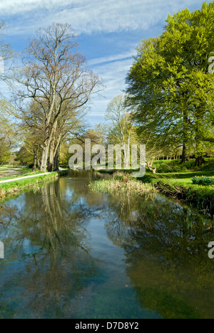 Canale alimentatore, Bute Park, Cardiff, Galles del Sud. Foto Stock