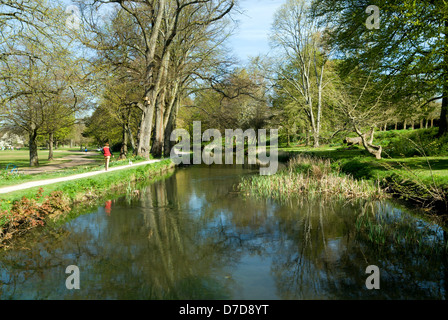 Canale alimentatore, Bute Park, Cardiff, Galles del Sud. Foto Stock