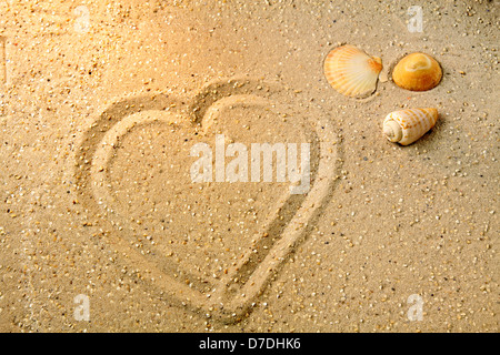 Forma di cuore in sabbia con tre conchiglie di mare Foto Stock