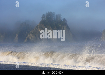 Le onde a Realto Beach, Olimpic Parco Nazionale, Washington, Stati Uniti d'America Foto Stock