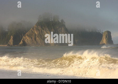 Le onde a Realto Beach, Olimpic Parco Nazionale, Washington, Stati Uniti d'America Foto Stock