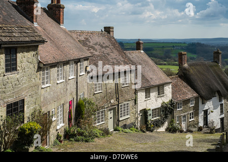 Oro Hill, Shaftesbury in aprile Foto Stock