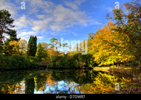 Tranquillo Lago di scena nel parco autunnali. Foto Stock