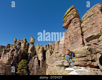 Terra di Standing-Up rocce vulcaniche di riolite deposizione, Chiricahua National Monument in Arizona Foto Stock