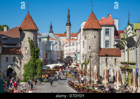 Città vecchia di Tallinn, Estonia, Viru Street e torri medievali di Gate Viru Foto Stock