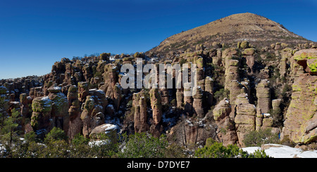 Terra di Standing-Up rocce vulcaniche di riolite deposizione, Chiricahua National Monument in Arizona Foto Stock