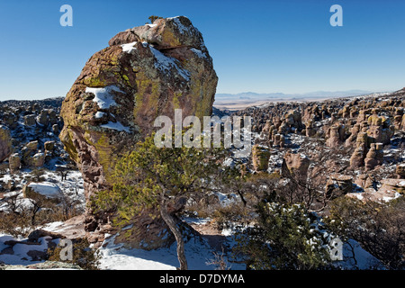 Terra di Standing-Up rocce vulcaniche di riolite deposizione, Chiricahua National Monument in Arizona Foto Stock