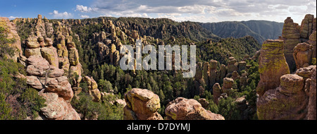 Terra di Standing-Up rocce vulcaniche di riolite deposizione, Chiricahua National Monument in Arizona Foto Stock