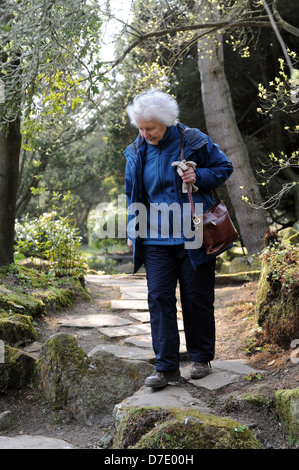 Signora anziana a piedi attorno a Newby Hall di North Yorkshire, Regno Unito Foto Stock