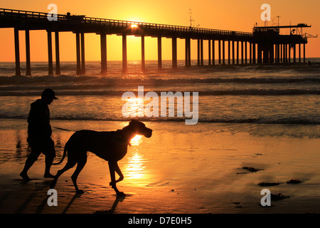 Silhouette di Istituto Scripps di Oceanografia pier, San Diego, California, Stati Uniti d'America Foto Stock