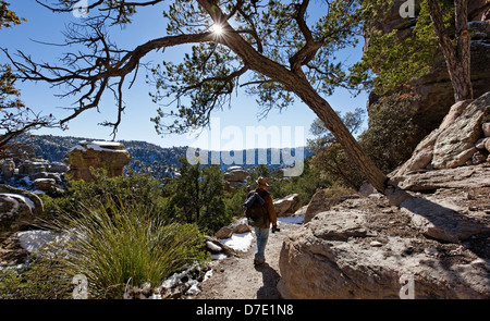 Terra di Standing-Up rocce vulcaniche di riolite deposizione, Chiricahua National Monument in Arizona Foto Stock