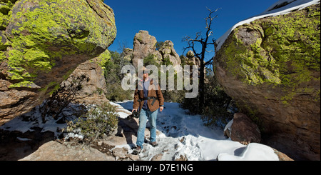 Terra di Standing-Up rocce vulcaniche di riolite deposizione, Chiricahua National Monument in Arizona Foto Stock