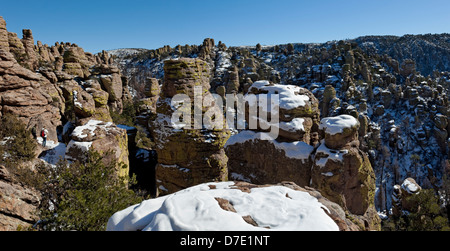 Terra di Standing-Up rocce vulcaniche di riolite deposizione, Chiricahua National Monument in Arizona Foto Stock