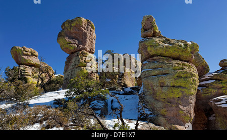 Terra di Standing-Up rocce vulcaniche di riolite deposizione, Chiricahua National Monument in Arizona Foto Stock