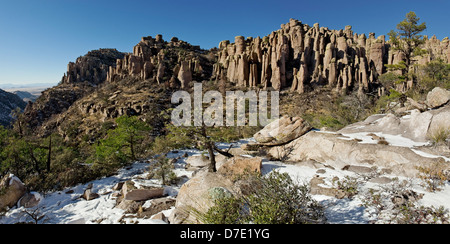 Terra di Standing-Up rocce vulcaniche di riolite deposizione, Chiricahua National Monument in Arizona Foto Stock