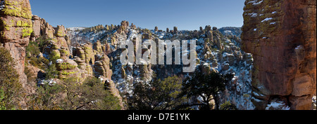 Terra di Standing-Up rocce vulcaniche di riolite deposizione, Chiricahua National Monument in Arizona Foto Stock