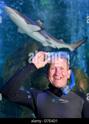 Weymouth, Regno Unito. Il 5 maggio, 2013. ITV Splash champÕ Eddie Eagle Edwards si è trovata di fronte ad una sfida di ogni bit così complessa come un Olympic ski jump o 10 metro trampolino di questo fine settimana. Eddie è stato a Weymouth Sea Life Park per aprire un uccello da preda showÉbut ha avuto l'opportunità di soddisfare a lungo tenuto ambizione quando lui era caduto in una vasca piena di squali tropicali. ÒEddie è un entusiasta snorkeler e ha chiesto se poteva prendere il tuffo nella nostra vasca oceanica,Ó dette vita di mare boss Craig Dunkerley. Non ÒItÕs qualcosa ci consentono molto spesso, ma heÕs ad un buon sport abbiamo couldnÕt girare a lui downÉand egli ha acconsentito a fare un po' Foto Stock