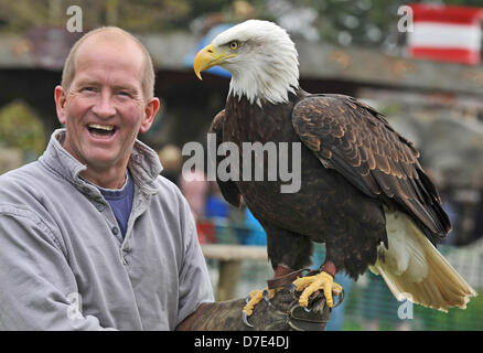 Weymouth, Regno Unito. Il 5 maggio, 2013. ITV Splash champÕ Eddie Eagle Edwards si è trovata di fronte ad una sfida di ogni bit così complessa come un Olympic ski jump o 10 metro trampolino di questo fine settimana. Eddie è stato a Weymouth Sea Life Park per aprire un uccello da preda showÉbut ha avuto l'opportunità di soddisfare a lungo tenuto ambizione quando lui era caduto in una vasca piena di squali tropicali. ÒEddie è un entusiasta snorkeler e ha chiesto se poteva prendere il tuffo nella nostra vasca oceanica,Ó dette vita di mare boss Craig Dunkerley. Non ÒItÕs qualcosa ci consentono molto spesso, ma heÕs ad un buon sport abbiamo couldnÕt girare a lui downÉand egli ha acconsentito a fare un po' Foto Stock