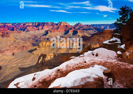 Snow-Capped Sentiero escursionistico nel Parco Nazionale del Grand Canyon,Arizona,Stati Uniti Foto Stock