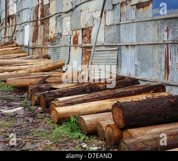 Palo di legno e di registri in pianta in legno Foto Stock