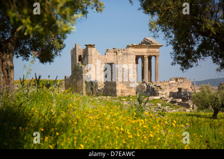 Il Tempio Capitolino in rovine Romane di Dougga in Tunisia Foto Stock