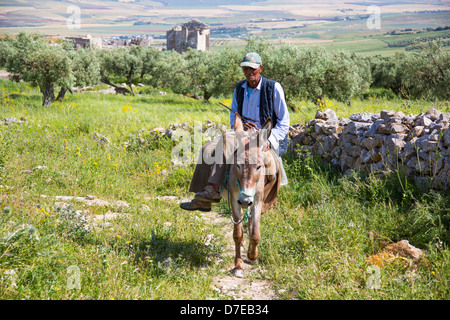 Uomo tunisino cavalcando un asino di fronte al Campidoglio in rovine Romane di Dougga in Tunisia Foto Stock