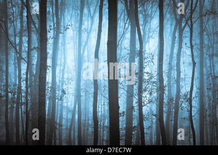 Blu scuro spooky foresta con gli alberi nella nebbia Foto Stock