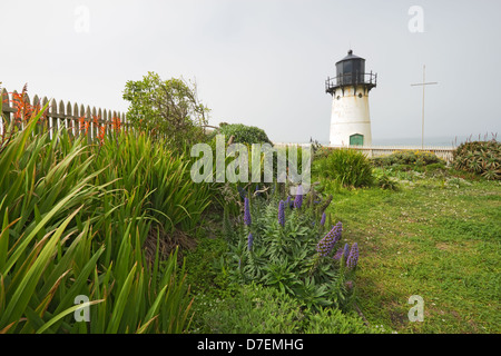 Punto Montara segnale di nebbia e la stazione di luce con fiori Foto Stock