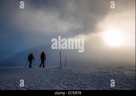 Due persone escursionismo in una nebbiosa nevicato paesaggio invernale, monti Karkonosze, Polonia. Foto Stock