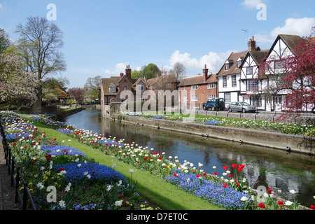 Westgate giardini e sul fiume Stour Canterbury Kent REGNO UNITO Foto Stock