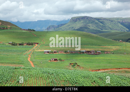 Insediamento rurale sulle colline ai piedi delle montagne di Drakensberg, KwaZulu-Natal, Sud Africa Foto Stock