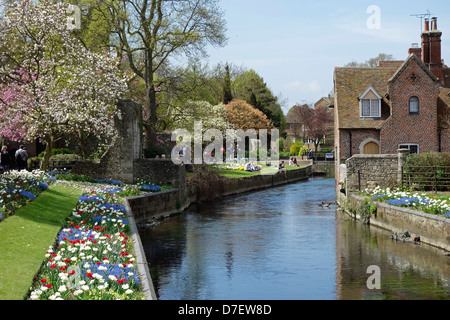 Westgate giardini e sul fiume Stour Canterbury Kent REGNO UNITO Foto Stock