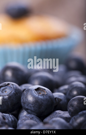 Mirtilli freschi in primo piano e un muffin ai mirtilli focus in background Foto Stock