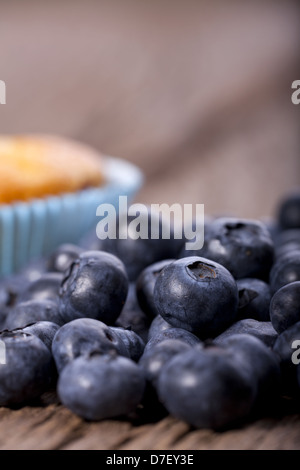 Mirtilli freschi in primo piano e un muffin ai mirtilli focus in background Foto Stock