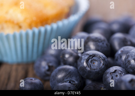 Mirtilli freschi in primo piano e un muffin ai mirtilli focus in background Foto Stock