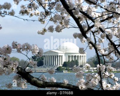 Thomas Jefferson Memorial Tidal Basin Washington DC, Jefferson Memorial, Thomas Jefferson terzo presidente degli STATI UNITI D'AMERICA, Tidal Basin, Foto Stock