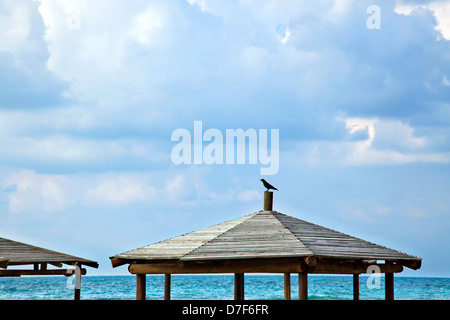 Un corvo in appoggio sulla parte superiore capannone a beach sul drammatico sfondo cielo nuvoloso di calme acque mare sulla bella giornata invernale. Foto Stock