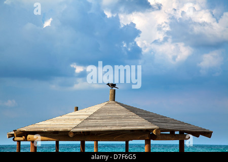 Un corvo in appoggio sulla parte superiore capannone a beach sul drammatico sfondo cielo nuvoloso di calme acque mare sulla bella giornata invernale. Foto Stock