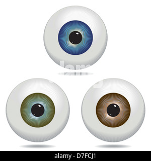 Bulbi oculari illustrate in blu, verde e marrone. Foto Stock