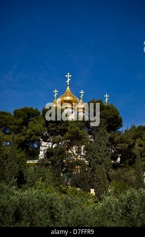 Le torri dorate Chiesa di Maria Maddalena sono visti tra alberi. La chiesa è dedicata a Maria Maddalena (Miryam Migdal) follower Foto Stock