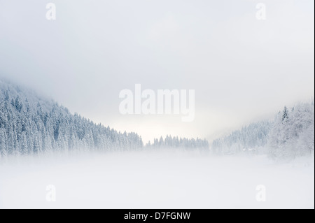 Paesaggio di montagna con il lago e la foresta del pino in inverno, coperto di neve, Haute Savoie, Francia. Foto Stock