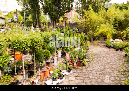 Berlino Germania - 10 Giugno 2012: due uomini adulti in piedi tra piante in vivaio in Mauerpark domenica il mercato delle pulci in Foto Stock