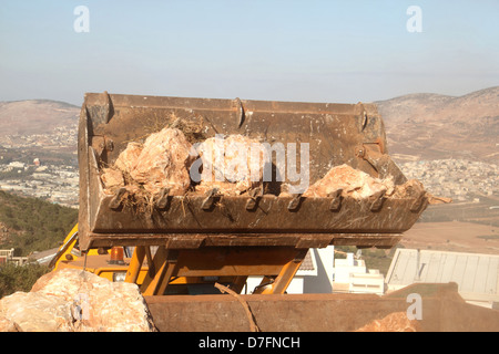 JCB pala di alimentazione rimozione rocce mentre facendo lavori di sterro in Galilea Kammon Israele Foto Stock