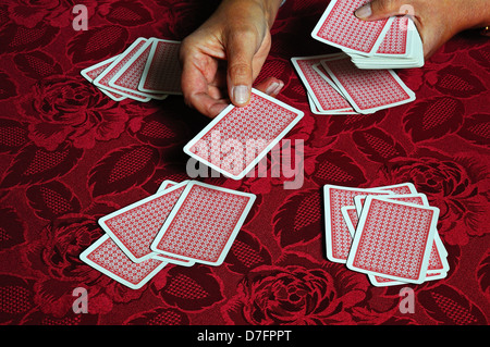 La donna che si occupano di un pacco di carte da gioco, Inghilterra, Regno Unito, Europa occidentale. Foto Stock