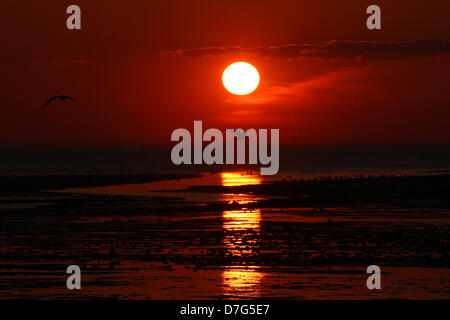 Heacham, Norfolk, Regno Unito. Il 6 maggio 2013. Un gabbiano vola da come la marea si spegne e il sole finalmente set dopo quello che è stato probabilmente il giorno più caldo dell'anno finora in Heacham, West Norfolk.© Paul Marriott fotografia, 72 Portchester vicino, Park Farm, Peterborough. PE2 8UP. Credito: Paolo Marriott / Alamy Live News Foto Stock