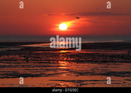 Heacham, Norfolk, Regno Unito. Il 6 maggio 2013. La marea è andato fuori e il sole finalmente set dopo quello che è stato probabilmente il giorno più caldo dell'anno finora in Heacham, West Norfolk.© Paul Marriott fotografia, 72 Portchester vicino, Park Farm, Peterborough. PE2 8UP. Credito: Paolo Marriott / Alamy Live News Foto Stock